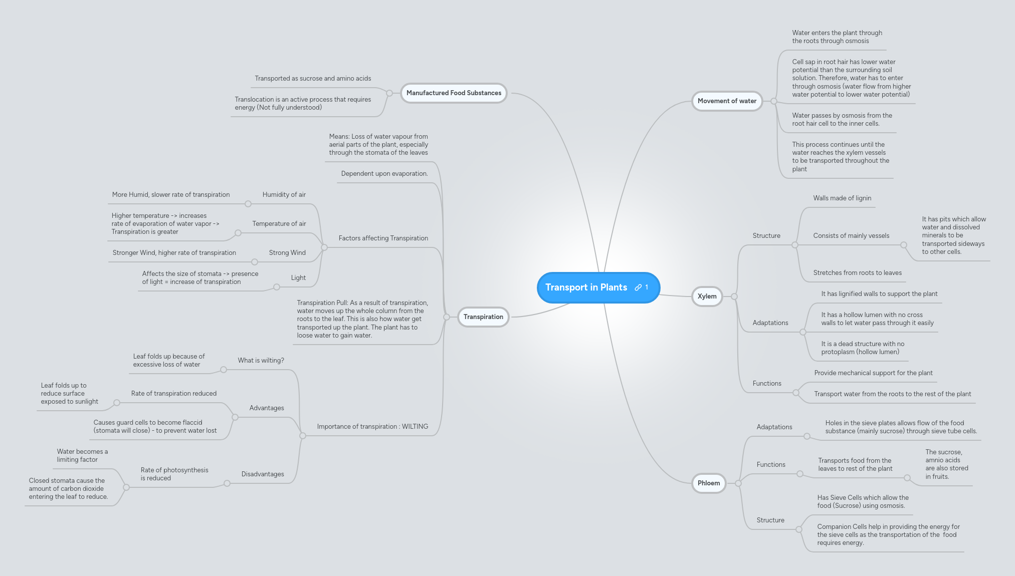 Transport in Plants | MindMeister Mind map
