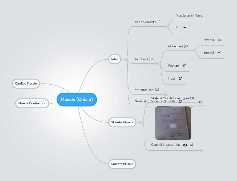 Muscle (Chiaia) | MindMeister Mind map