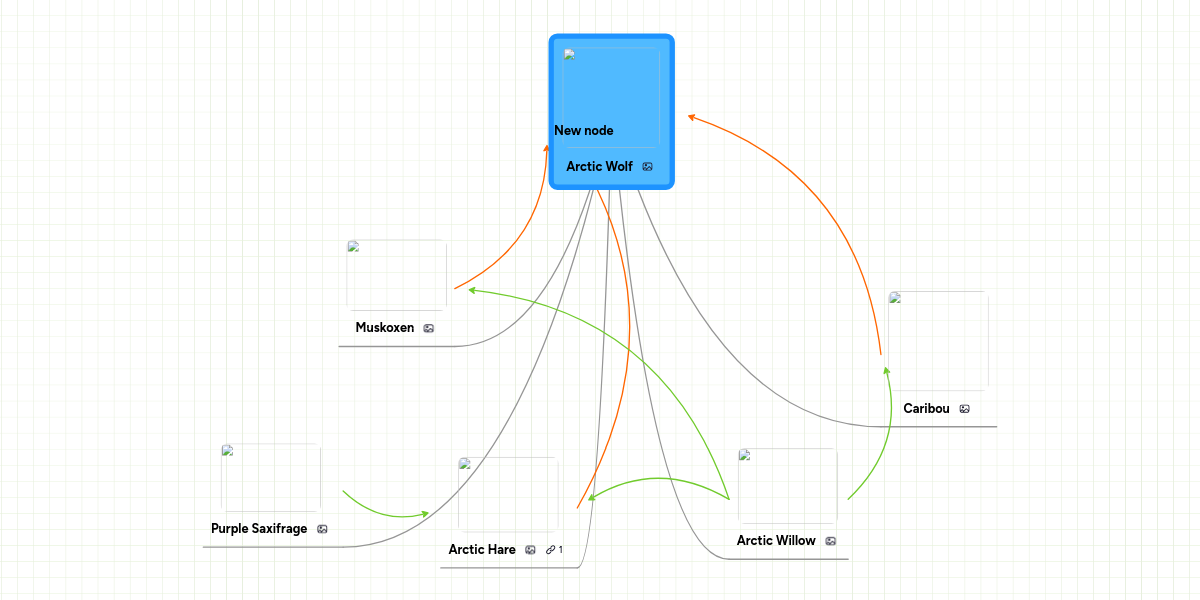 Arctic Wolf | MindMeister Mind Map