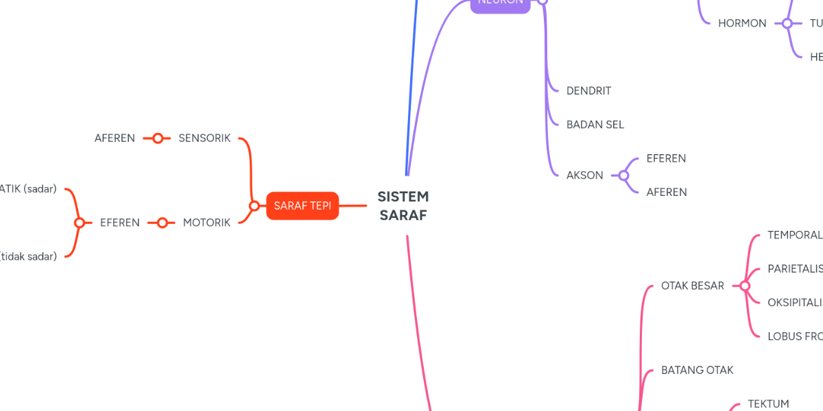 SISTEM SARAF | MindMeister Mind Map