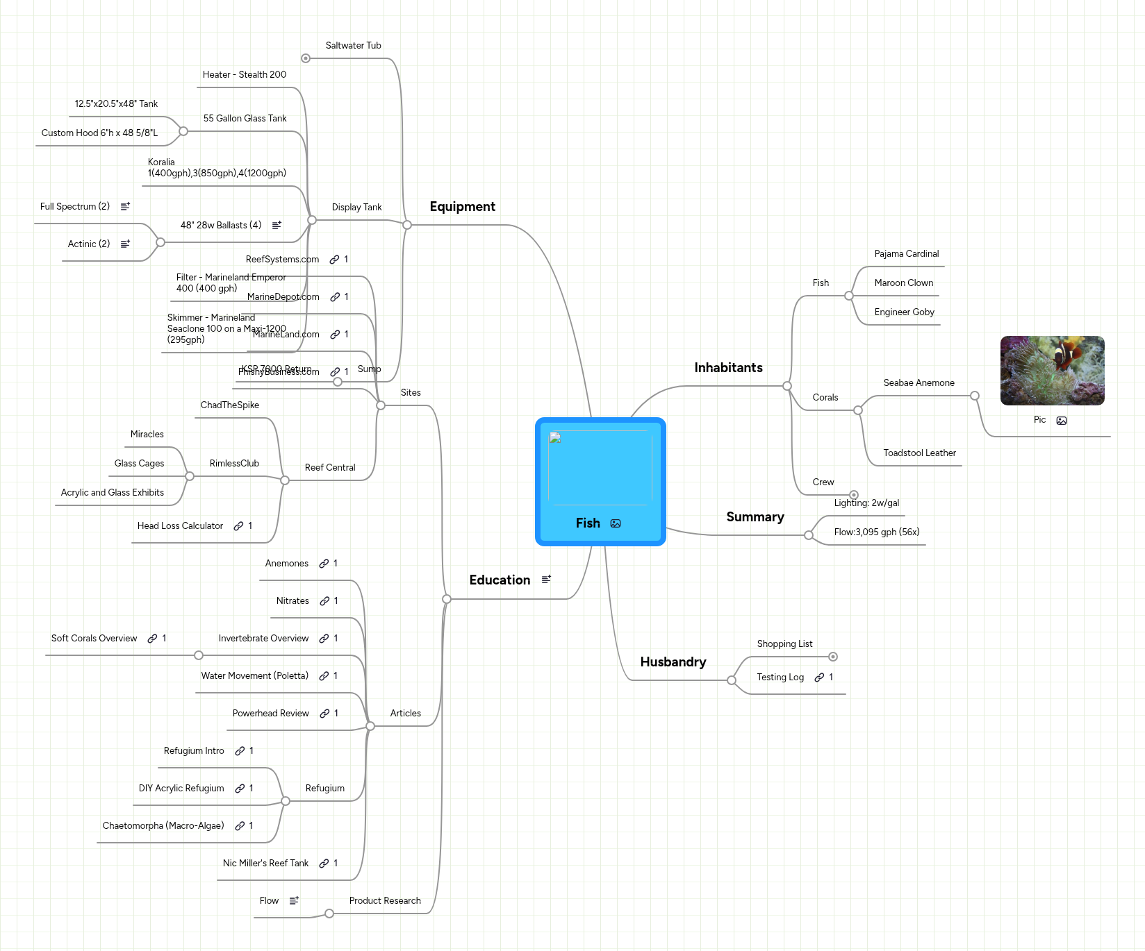 Fish | MindMeister Mind Map