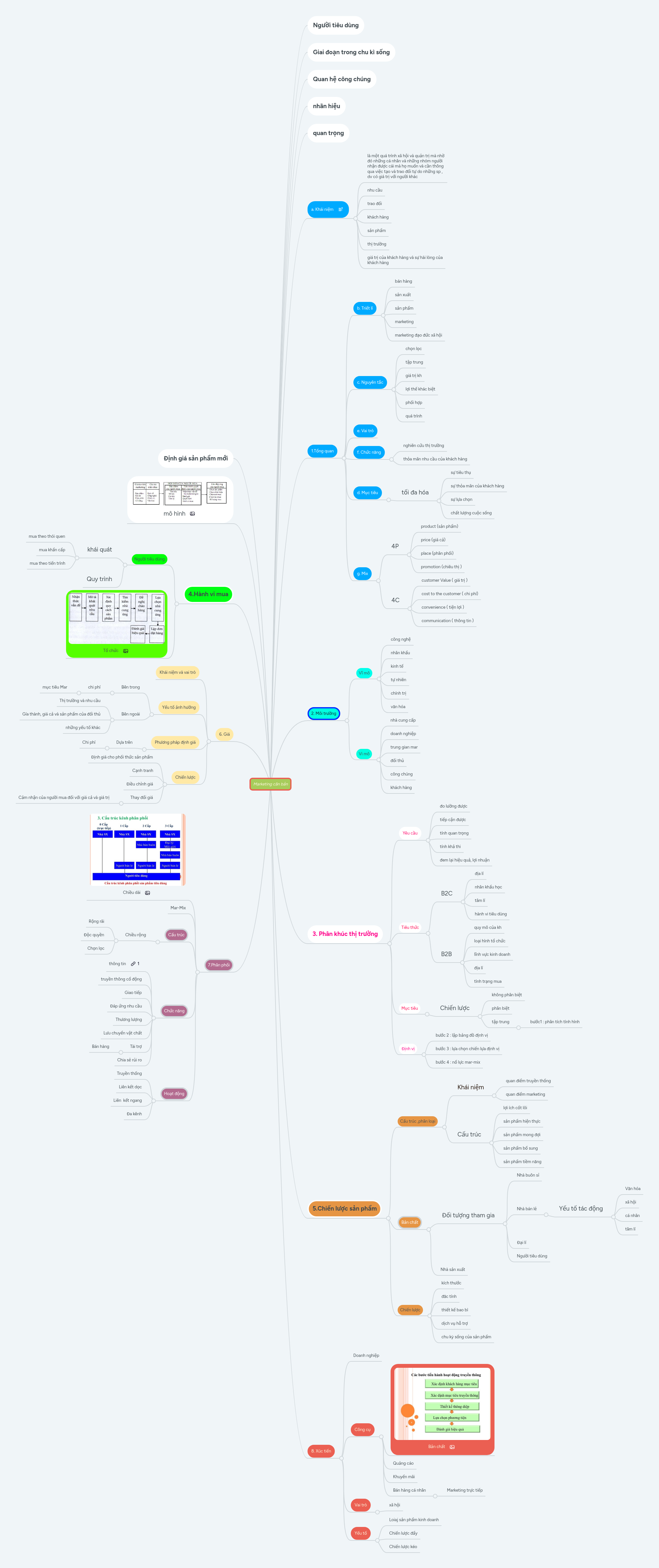 Marketing căn bản | MindMeister Mind Map