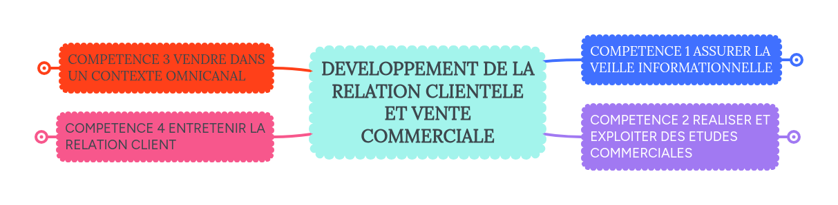 DEVELOPPEMENT DE LA RELATION CLIENTELE ET VENTE C... | MindMeister ...