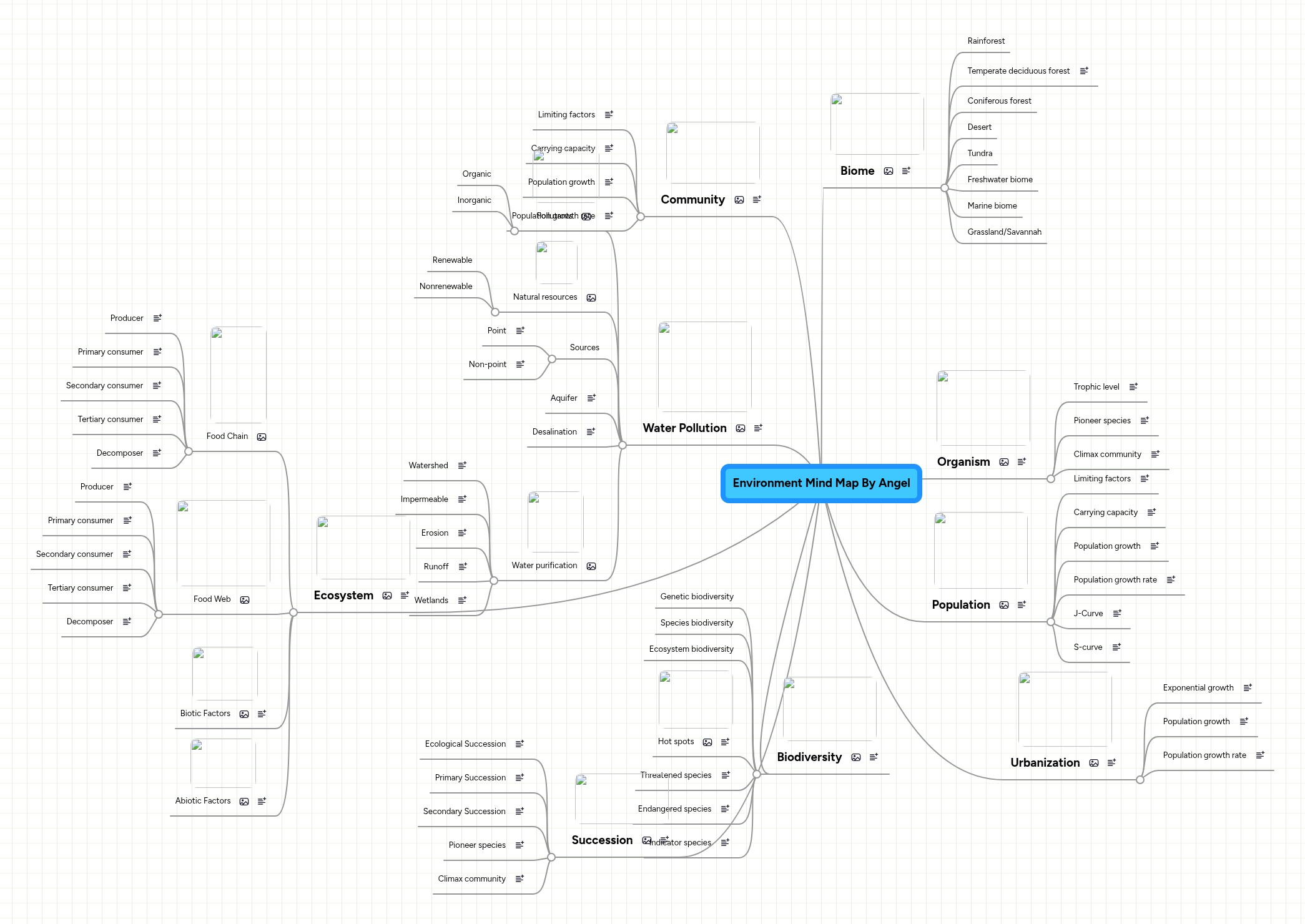 Environment Mind Map By Angel | MindMeister Mind map