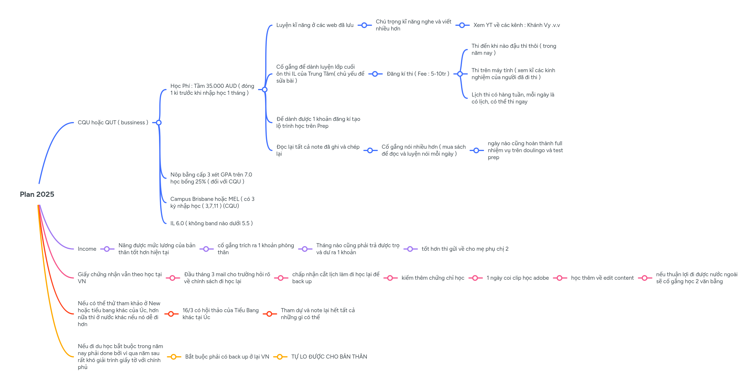 Plan 2025 | MindMeister Mind map