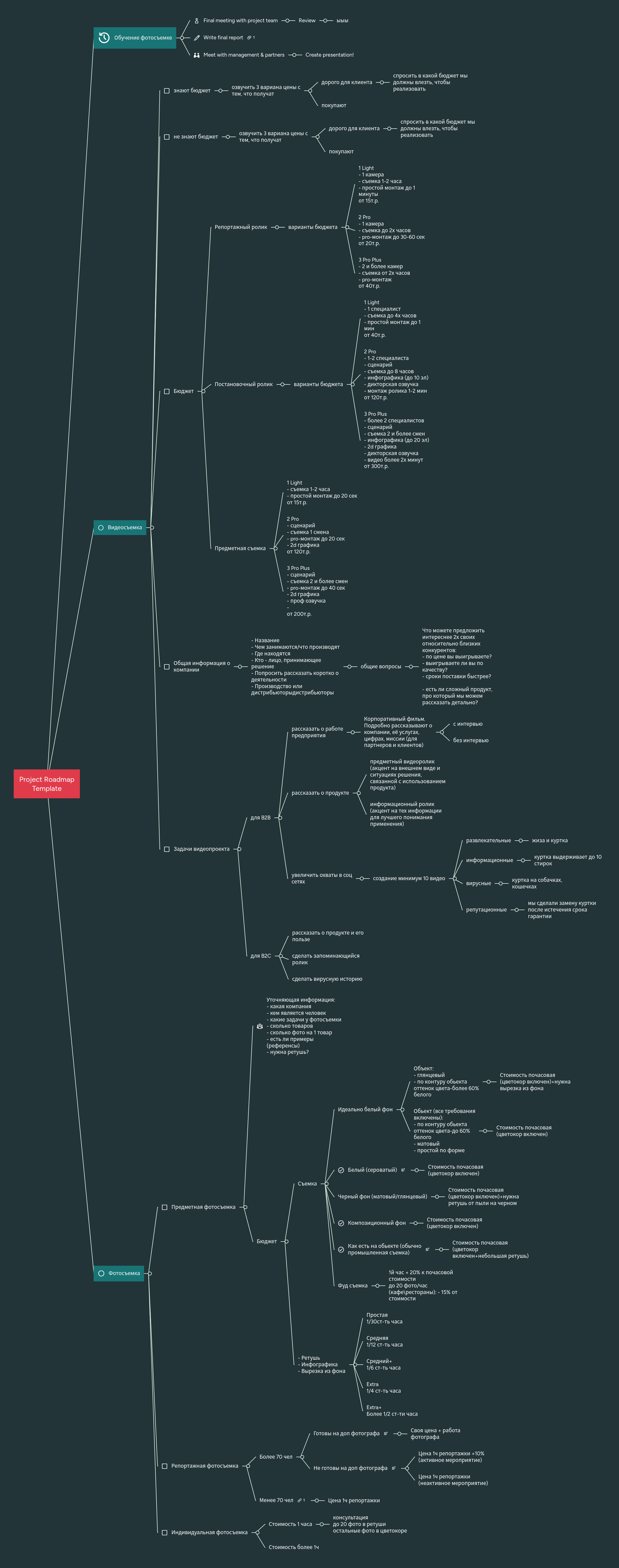 Project Roadmap Template | MindMeister Mind map
