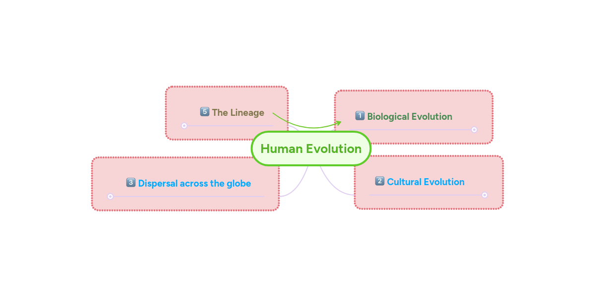 Human Evolution | MindMeister Mind Map
