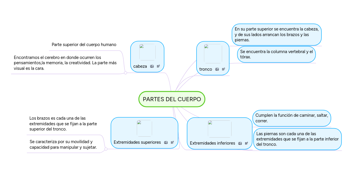 PARTES DEL CUERPO MindMeister Mind Map