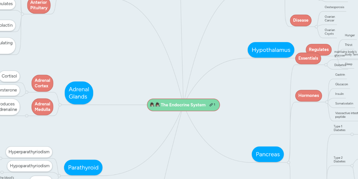 Concept Map Of Hormones The Endocrine System | Mindmeister Mind Map