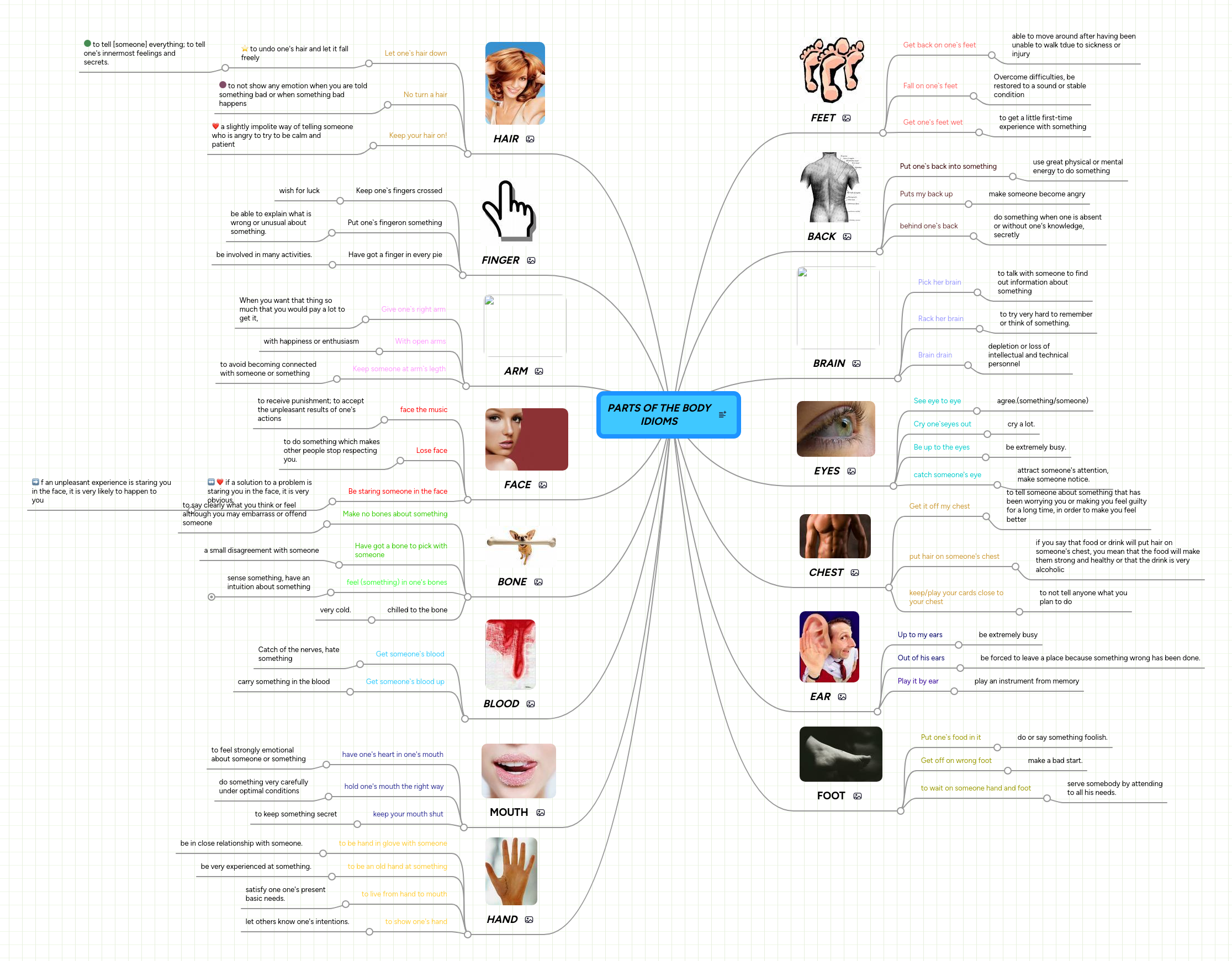 PARTS OF THE BODY IDIOMS | MindMeister Mind map