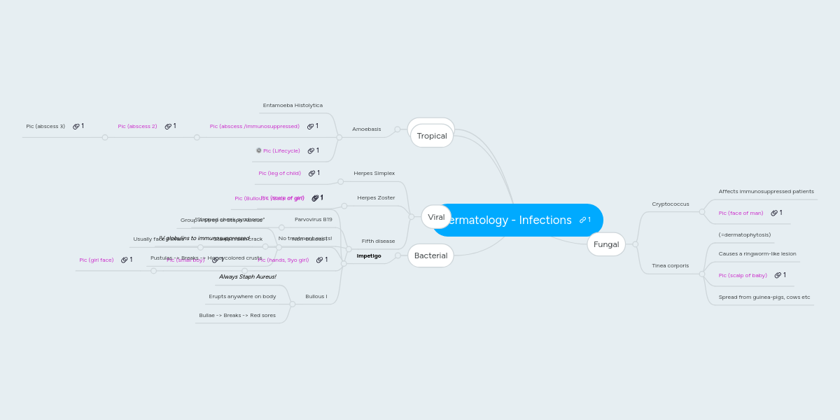 Dermatology - Infections | MindMeister Mind Map