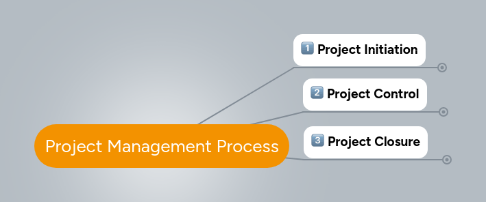 Project Management Process | MindMeister Mind map