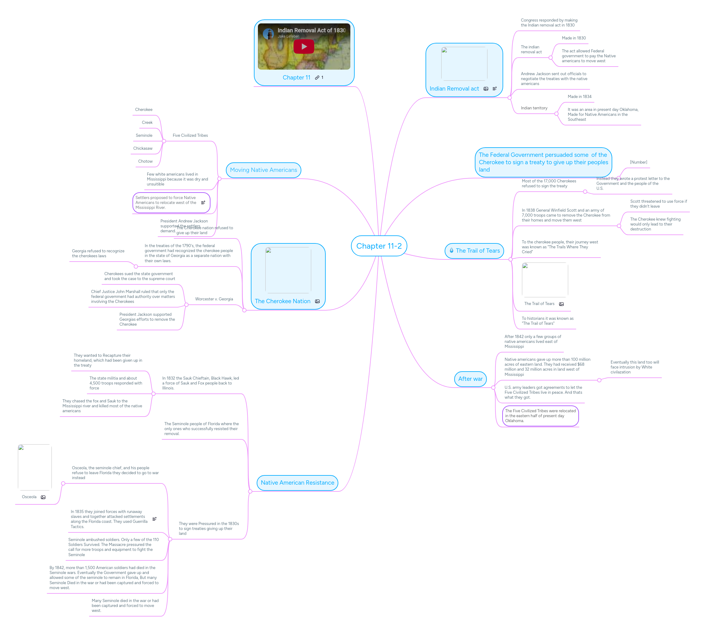 Chapter 11-2 | MindMeister Mind map