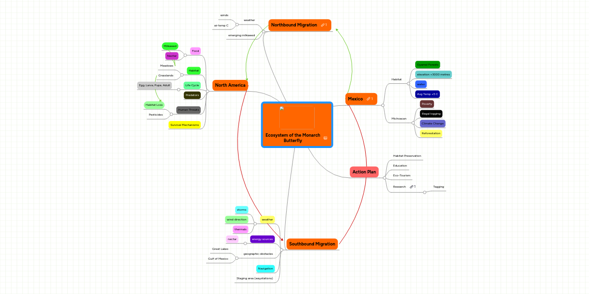 Ecosystem of the Monarch Butterfly | MindMeister Mind Map
