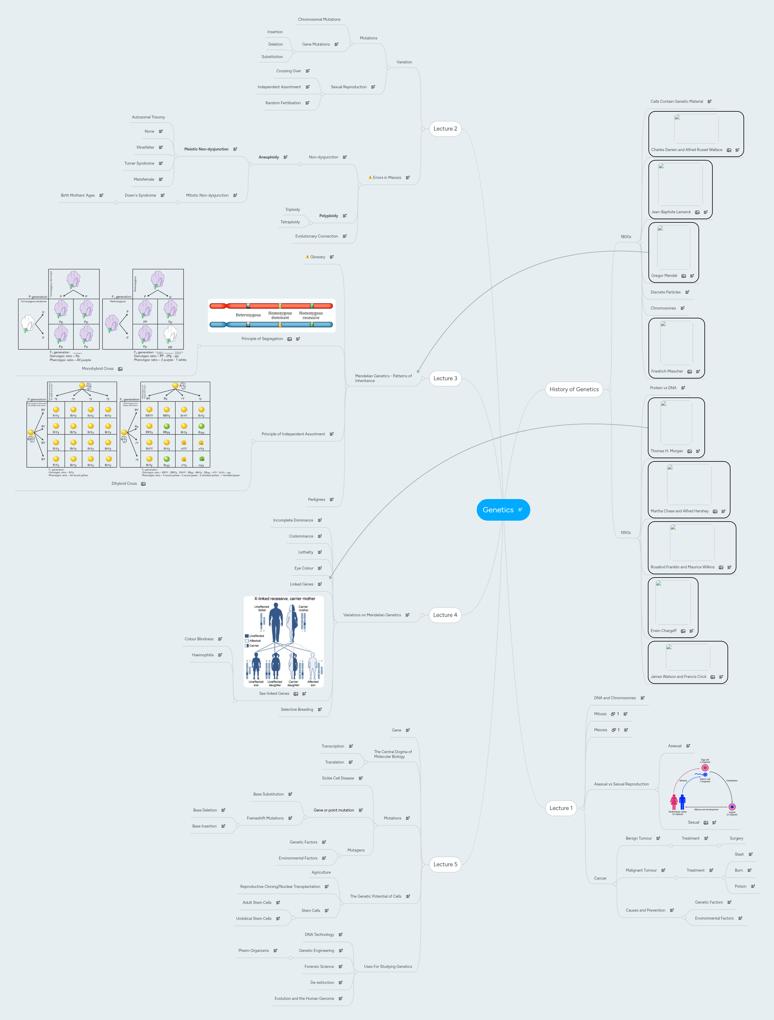 Genetics | MindMeister Mind map