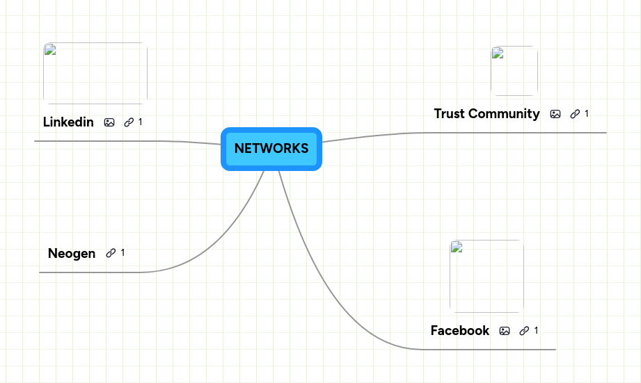 NETWORKS | MindMeister Mind map