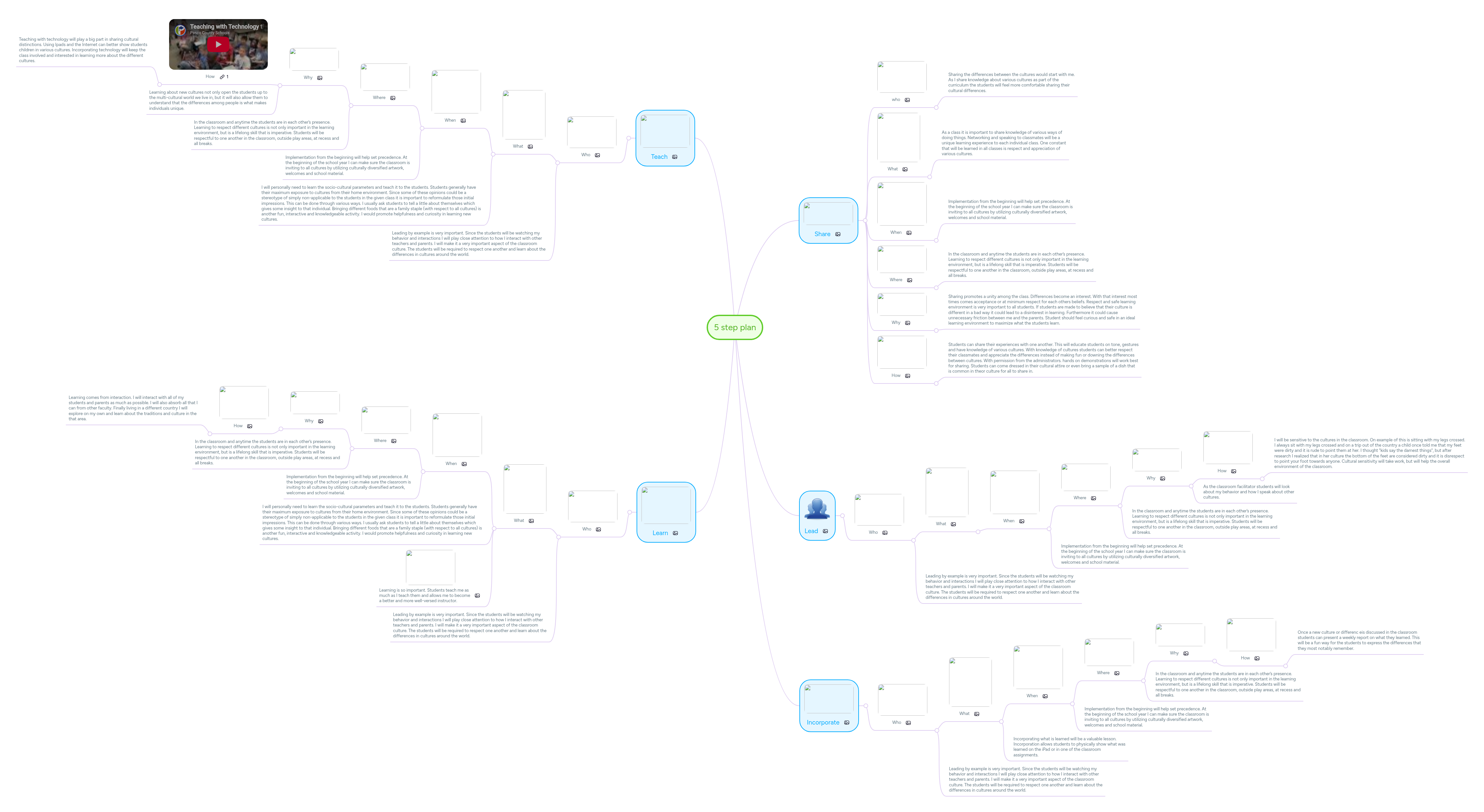 5 step plan | MindMeister Mind Map