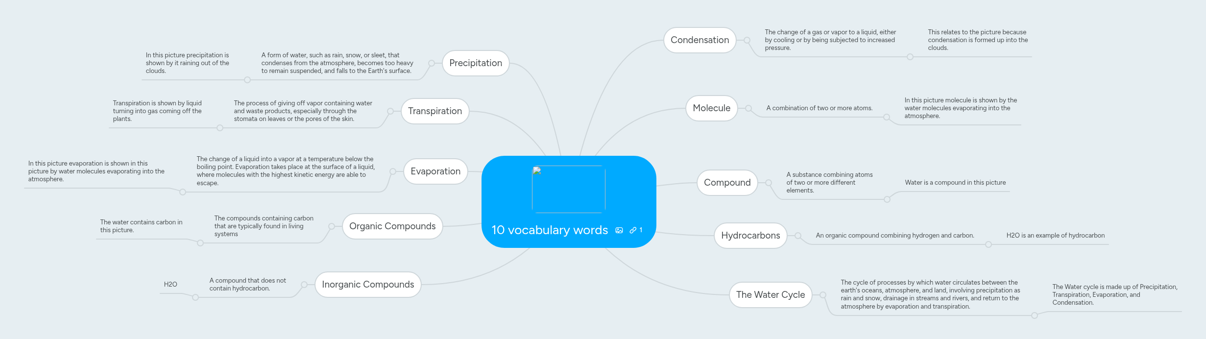 10 vocabulary words | MindMeister Mind map