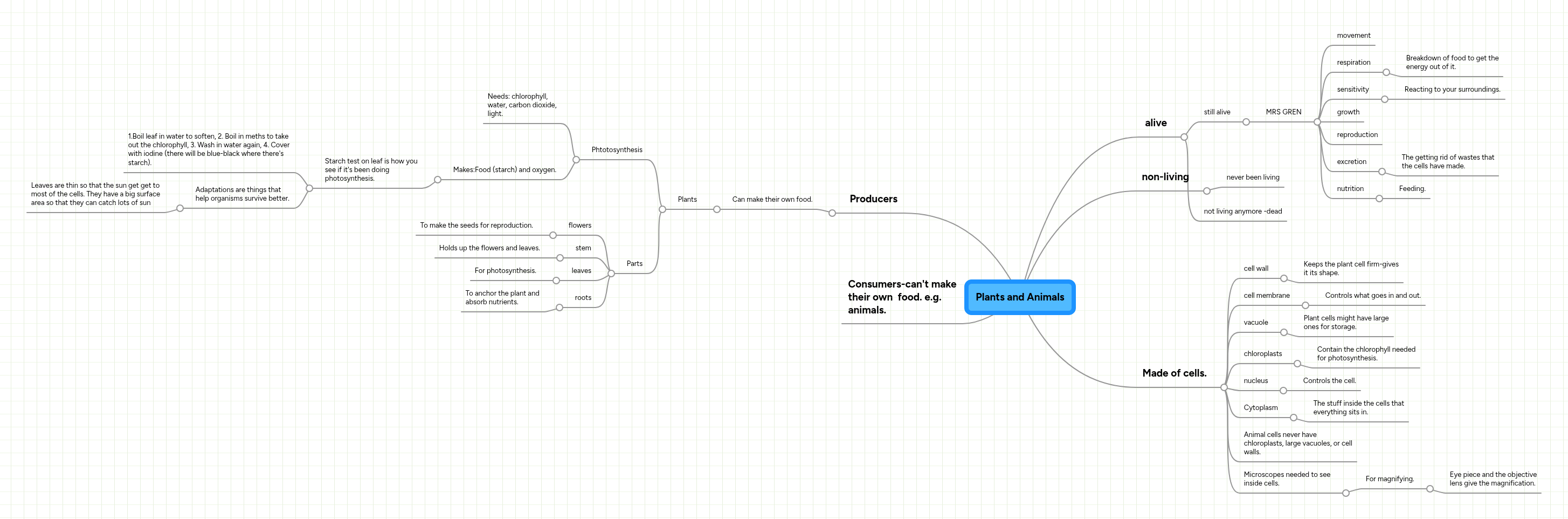 Plants and Animals | MindMeister Mind Map