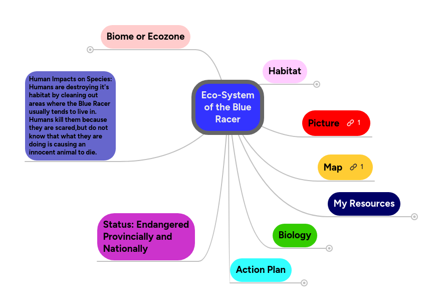 Eco-System of the Blue Racer | MindMeister Mind Map