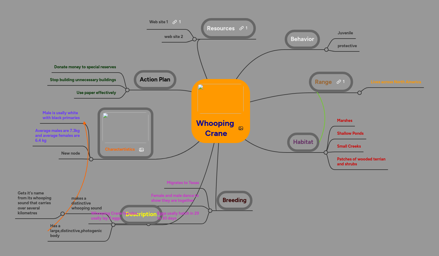 Whooping Crane | MindMeister Mind map