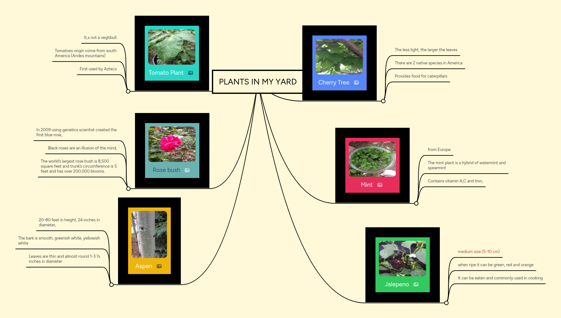 PLANTS IN MY YARD | MindMeister Mind map