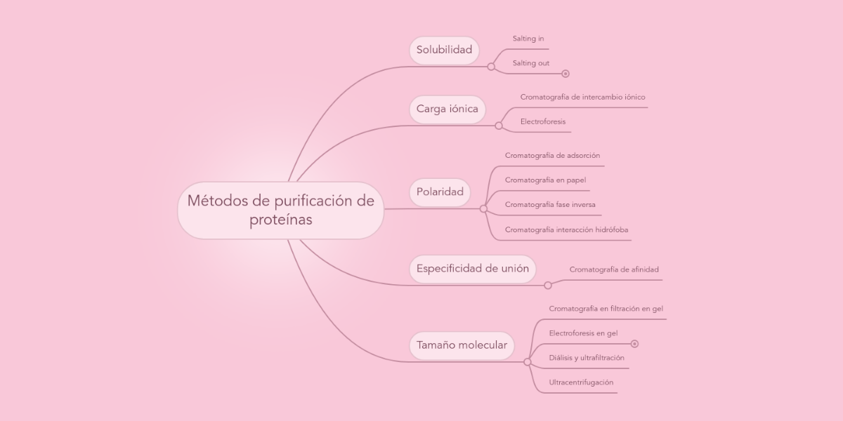 Métodos de purificación de proteínas MindMeister Mind Map