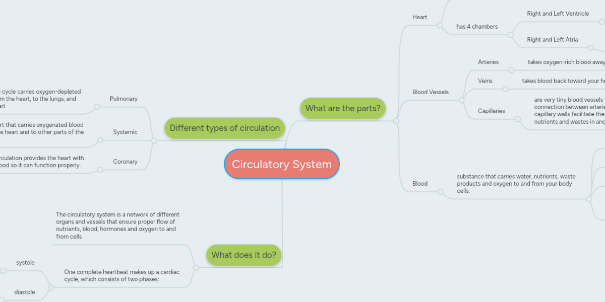 Circulatory System | MindMeister Mind Map