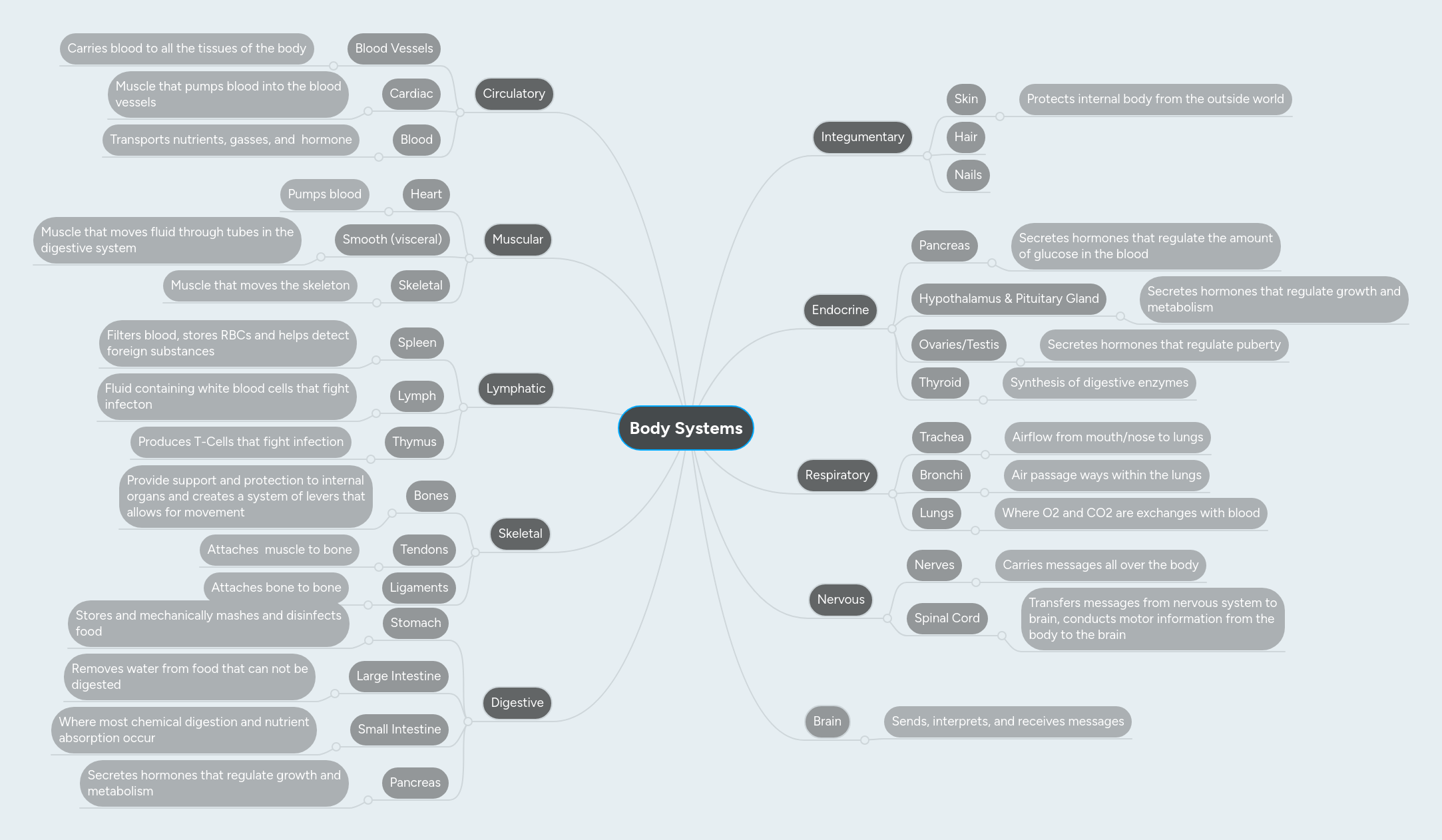 Body Systems | MindMeister Mind Map