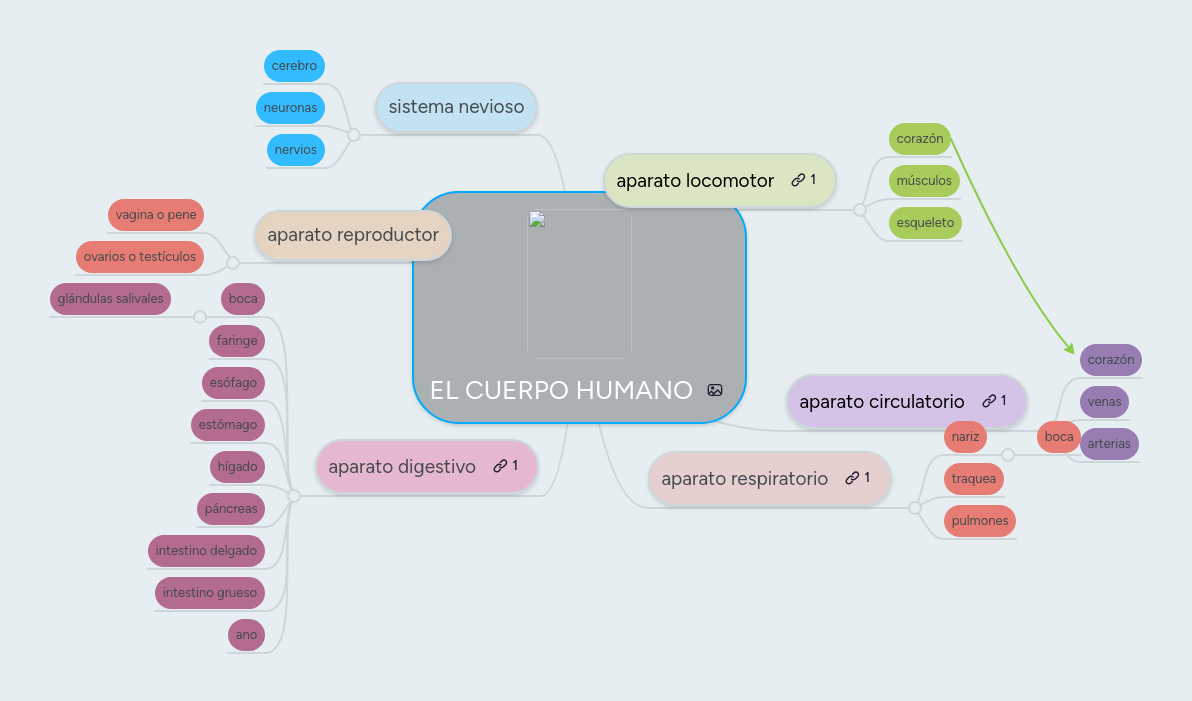 EL CUERPO HUMANO MindMeister Mapa Mental