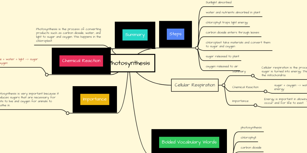 Photosynthesis concept map quizlet picture