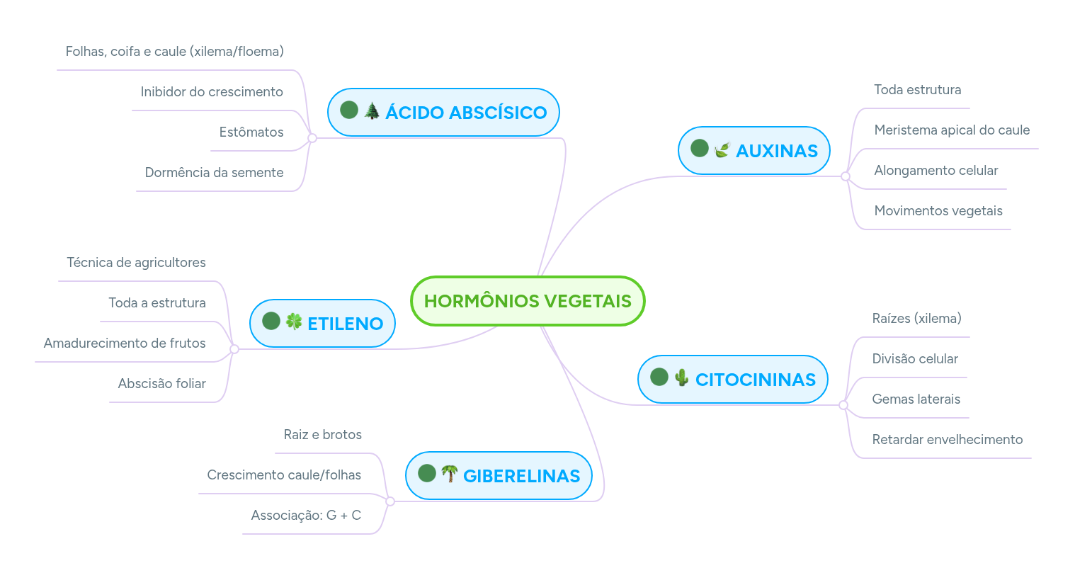 HORMÔNIOS VEGETAIS | MindMeister Mapa mental