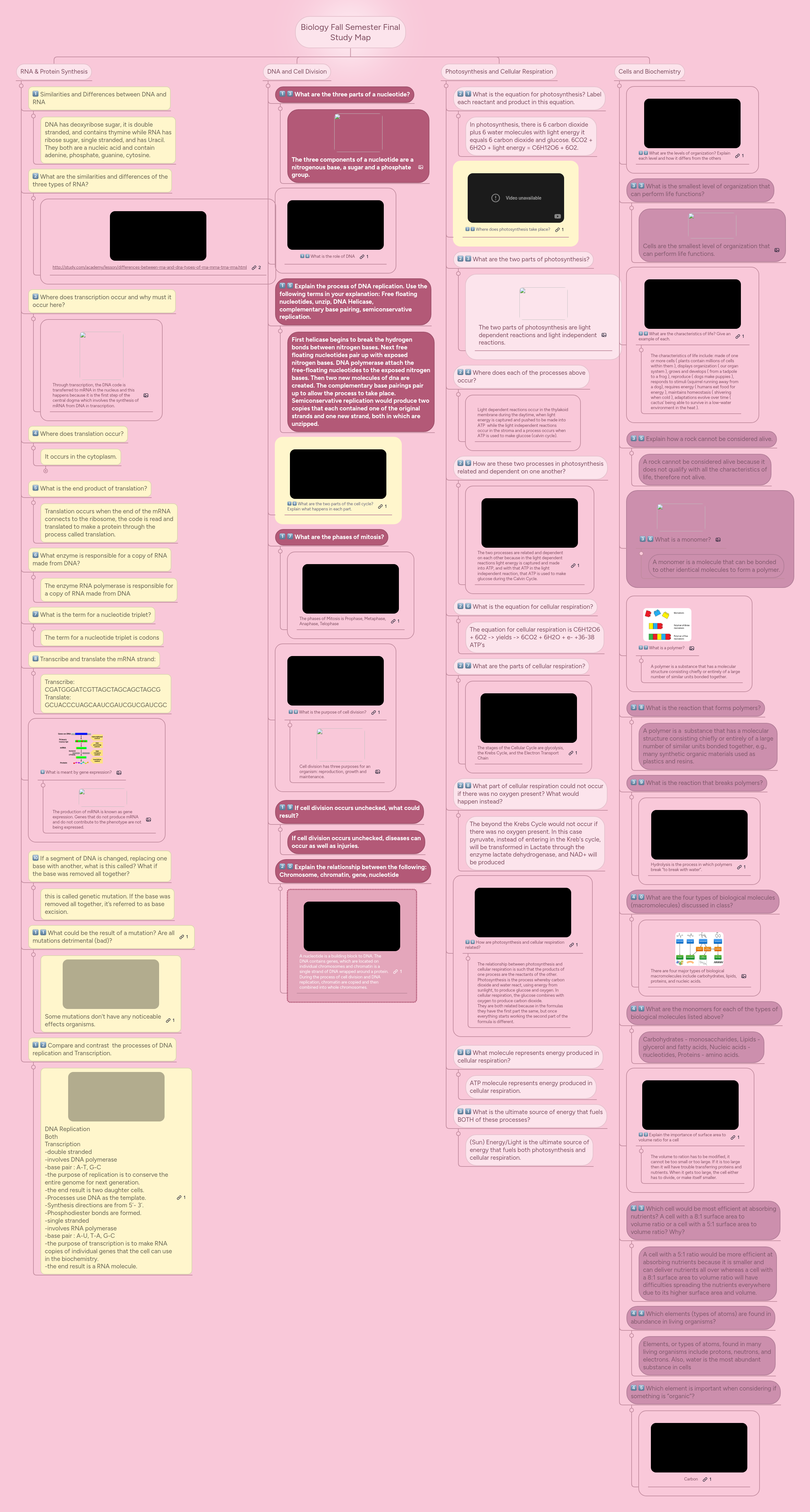 Biology Fall Semester Final Study Map | MindMeister Mind map