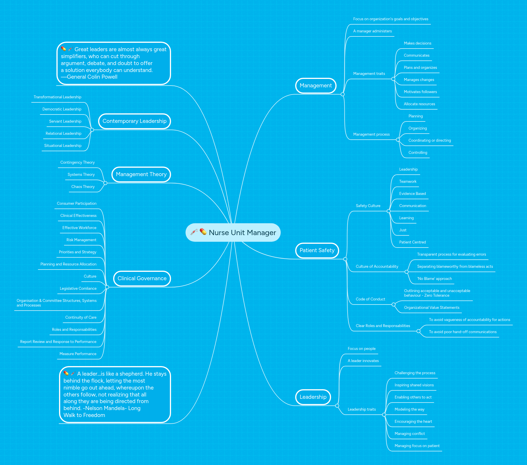 Nurse Unit Manager | MindMeister Mind map