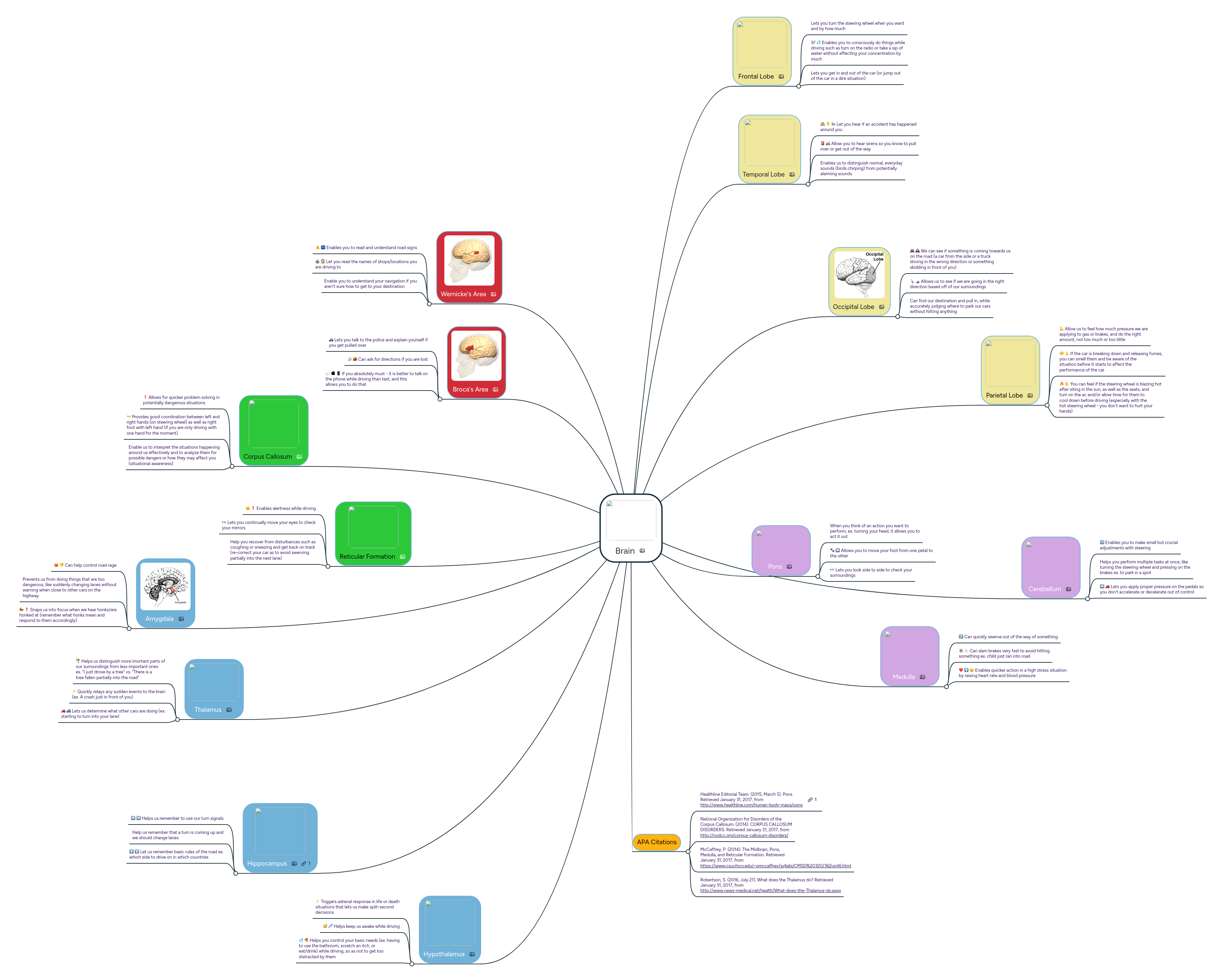 Brain | MindMeister Mind map