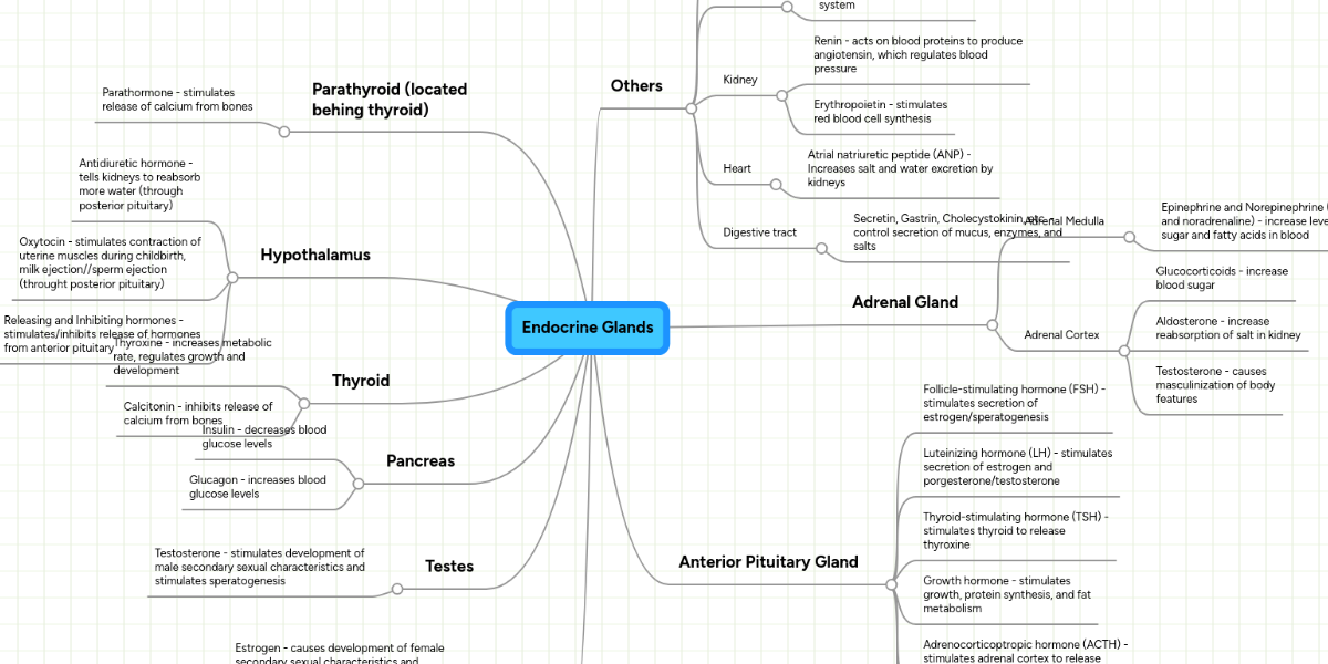 endocrine system concept map Endocrine Glands Mindmeister Mind Map