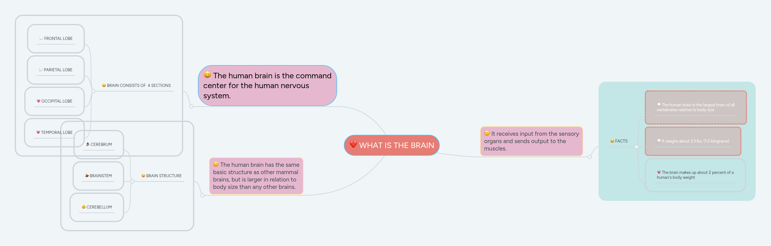 WHAT IS THE BRAIN | MindMeister Mind map