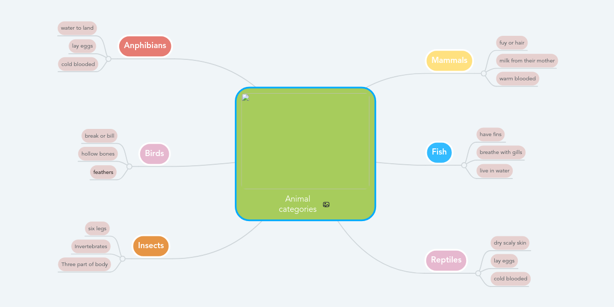 Animal categories | MindMeister Mind Map