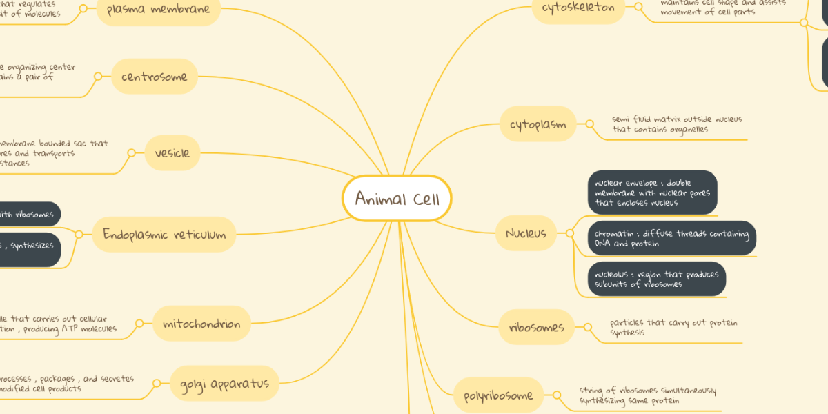 The Animal Cell Cell As A Unit Of Life Animal Cells And Plant Cells