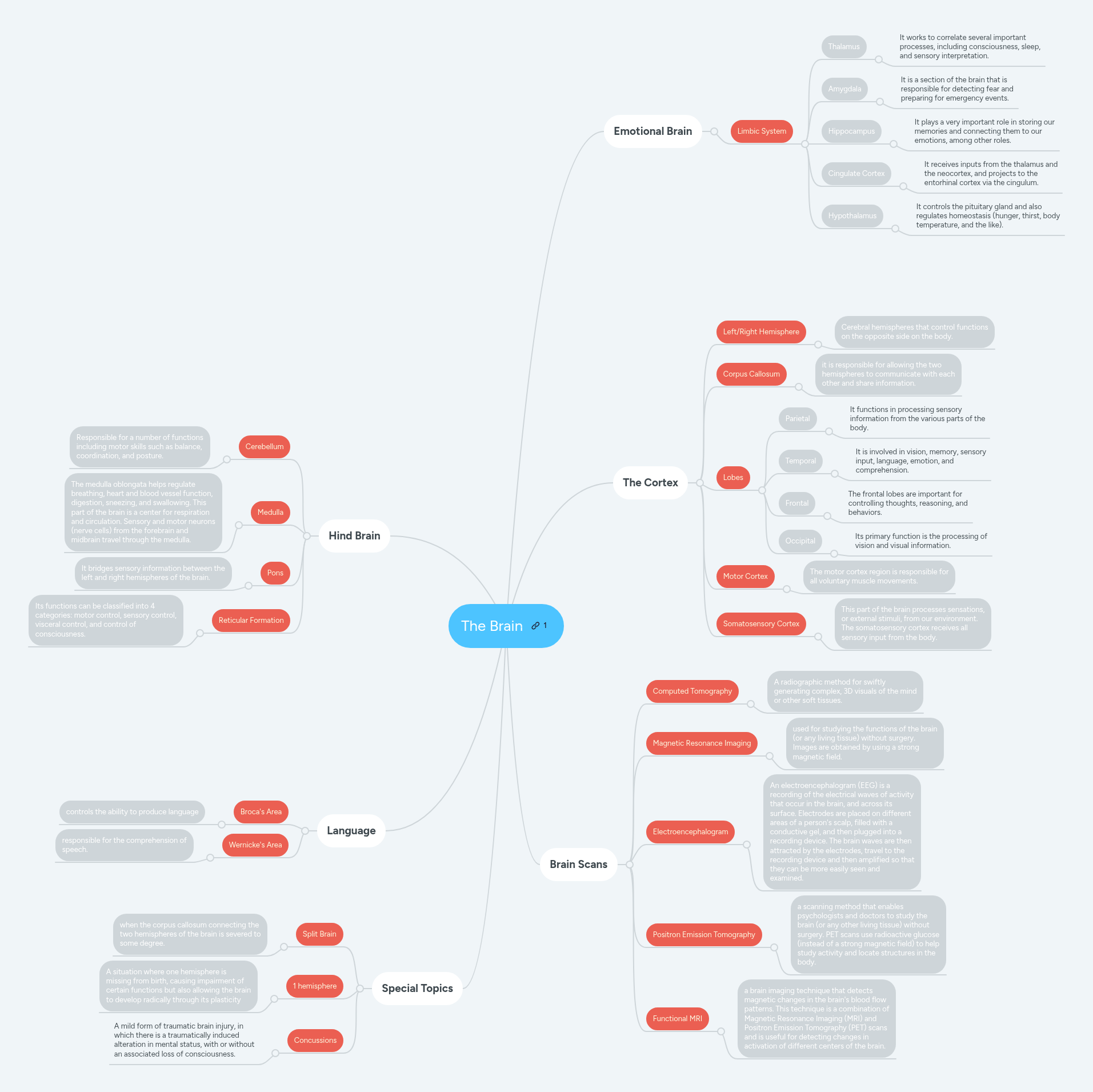 The Brain | MindMeister Mind Map