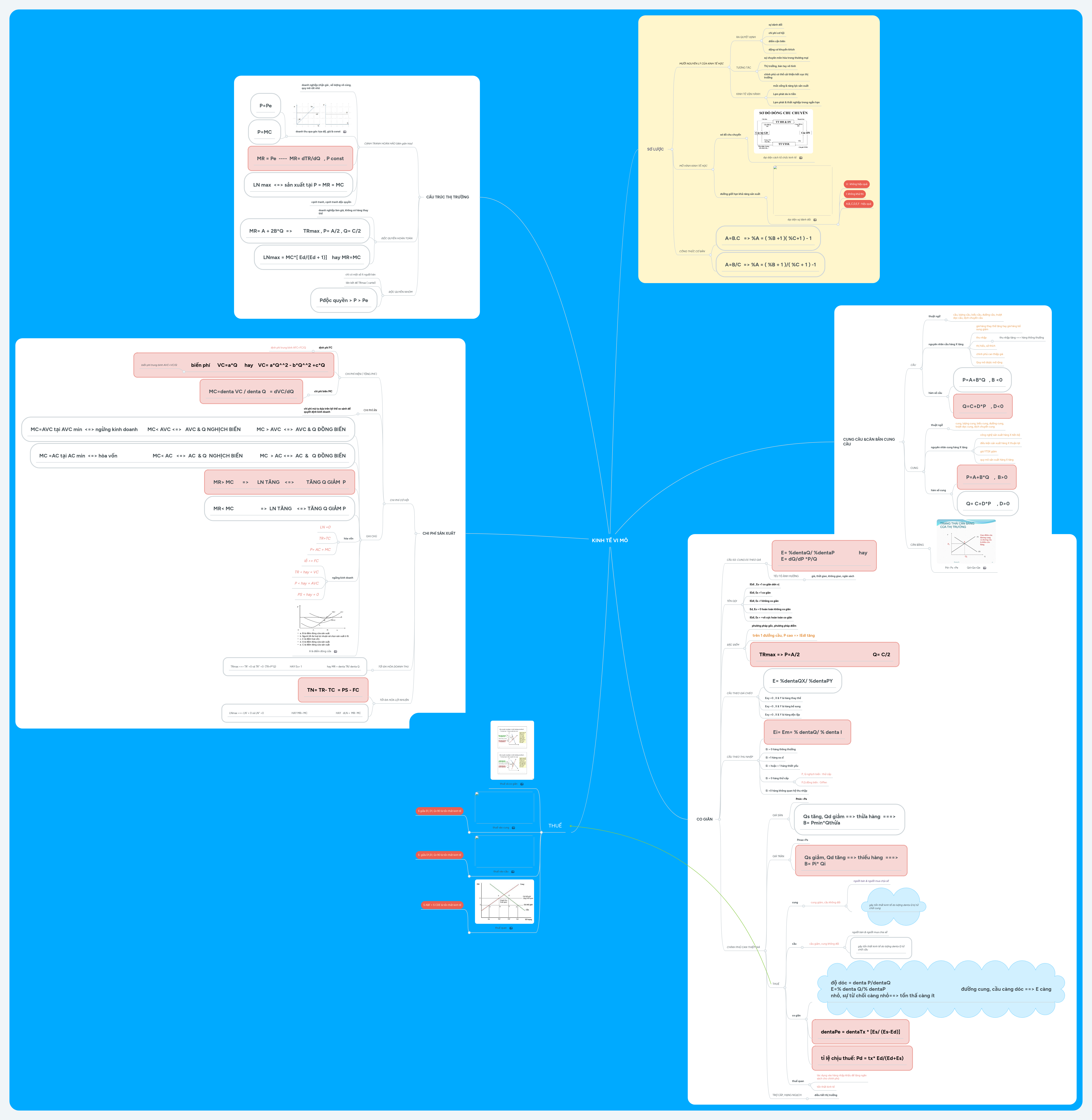 KINH TẾ VI MÔ | MindMeister Mind map