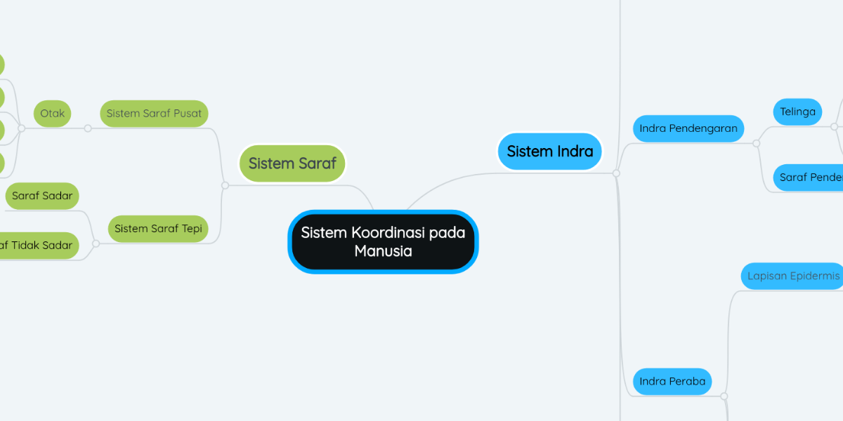 Sistem Koordinasi pada Manusia MindMeister Mind  Map 