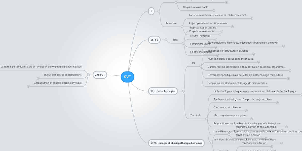 Svt Mindmeister Mind Map