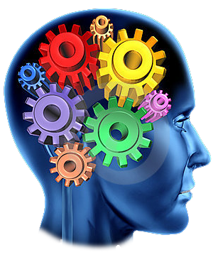 Image result for structure carte mentale