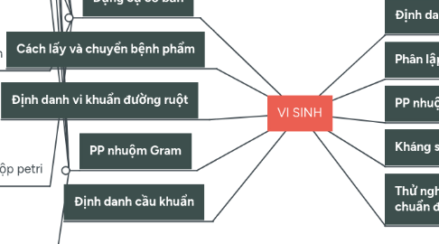 Mind Map: VI SINH