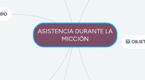 Mind Map: ASISTENCIA DURANTE LA MICCIÓN