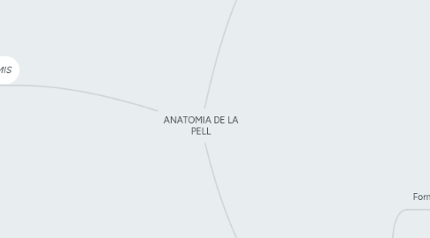 Mind Map: ANATOMIA DE LA PELL