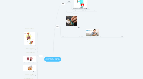 Mind Map: TEMAS RELACIONADOS CON EL CUERPO HUMANO