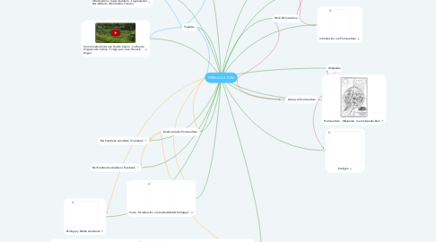 Mind Map: PERMACULTURA