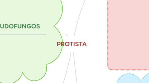 Mind Map: PROTISTA